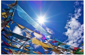 Tibetan Buddhist Prayer flag 10 pcs/string Silk Print 3.5 Meters Religious Flags Scriptures Temple Decor Sutra streamer - 6 Lynx - Boho Accessories