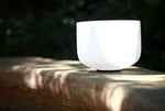 Feline Calm Crystal Singing Bowl