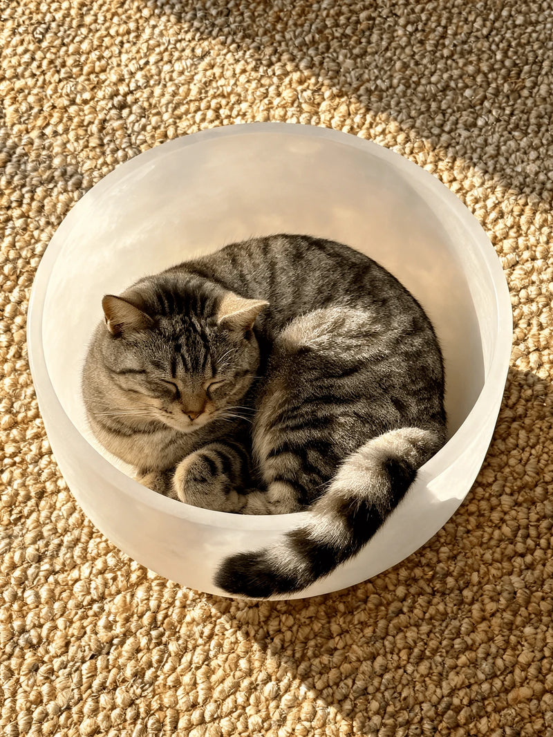 Feline Calm Crystal Singing Bowl