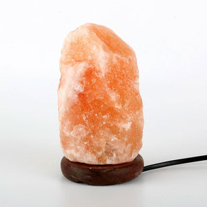 Natural Himalayan Salt Lamp - 6 Lynx - Boho Accessories