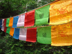 Tibetan Buddhist Prayer flag 10 pcs/string Silk Print 3.5 Meters  Religious Flags Scriptures Temple Decor Sutra streamer - 6 Lynx - Boho Accessories