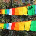Tibetan Buddhist Prayer flag 10 pcs/string Silk Print 3.5 Meters  Religious Flags Scriptures Temple Decor Sutra streamer - 6 Lynx - Boho Accessories