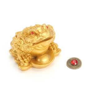 Classic Feng Shui Money Fortune Toad - Home OfficeTabletop Ornaments - 6 Lynx - Boho Accessories