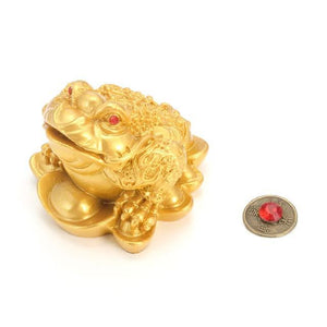 Classic Feng Shui Money Fortune Toad - Home OfficeTabletop Ornaments - 6 Lynx - Boho Accessories